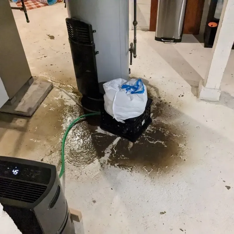 Sewage Backup Cleanup Service in Irvington, NJ